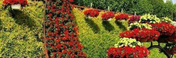 a73690717248's profile banner image