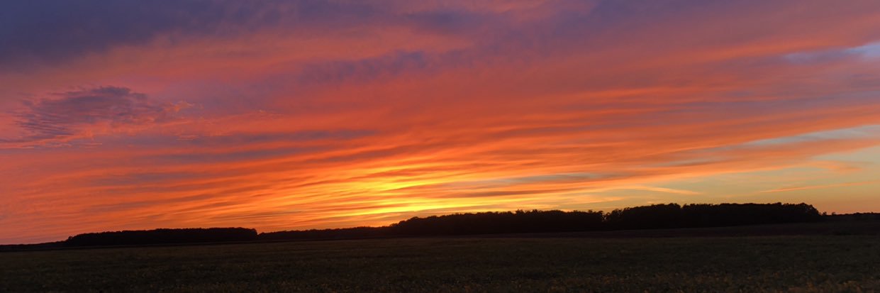 hannahpolzin's profile banner image