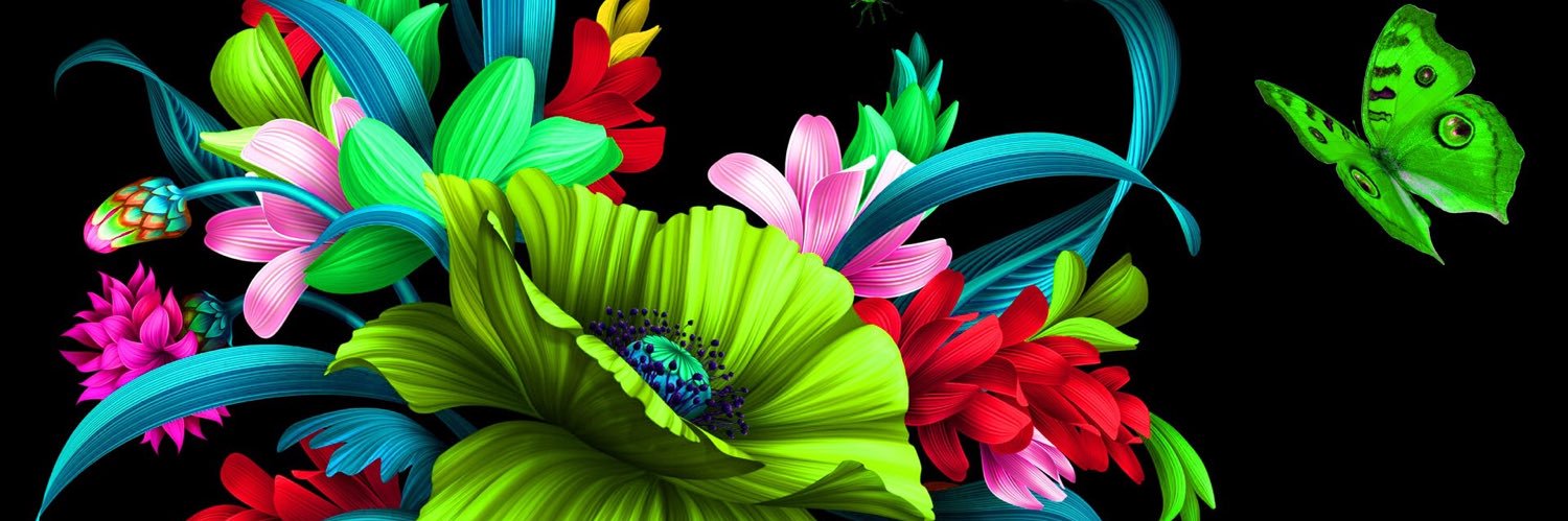 skrod2005's profile banner image