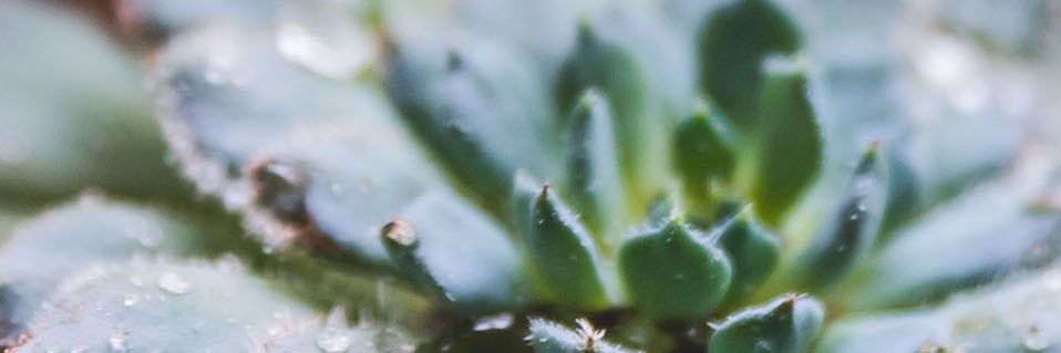 Hannah Marie Todd ♈️ banner