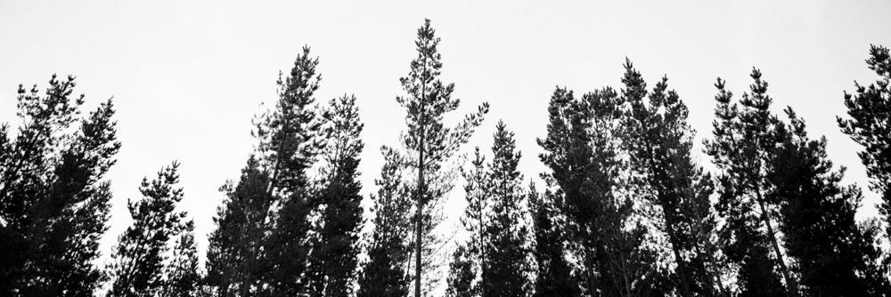 VintenMusic's profile banner image
