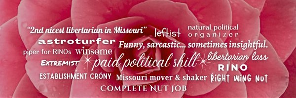 RareCamellia Profile Banner