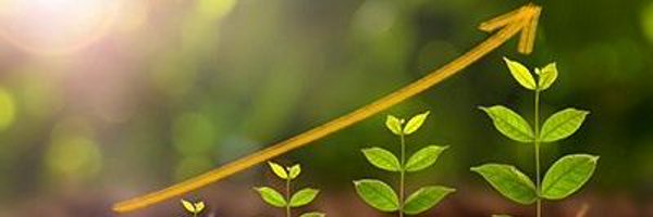 gtpinhei Profile Banner