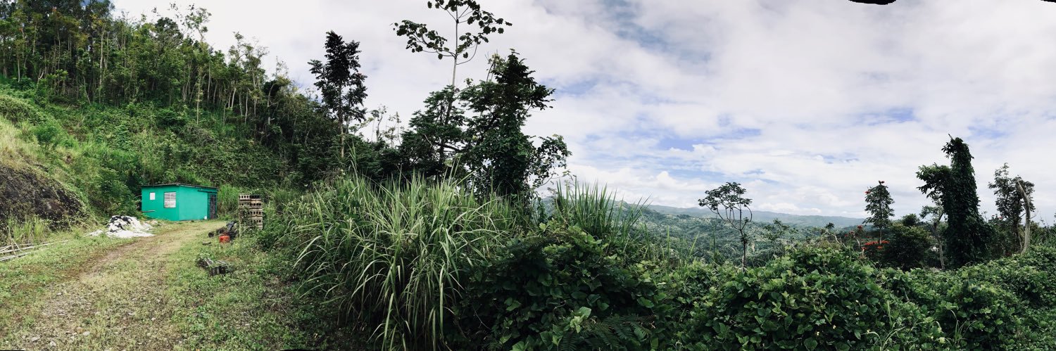 Timarcus Davis banner