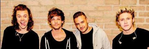 1Dvibesaf's profile banner image