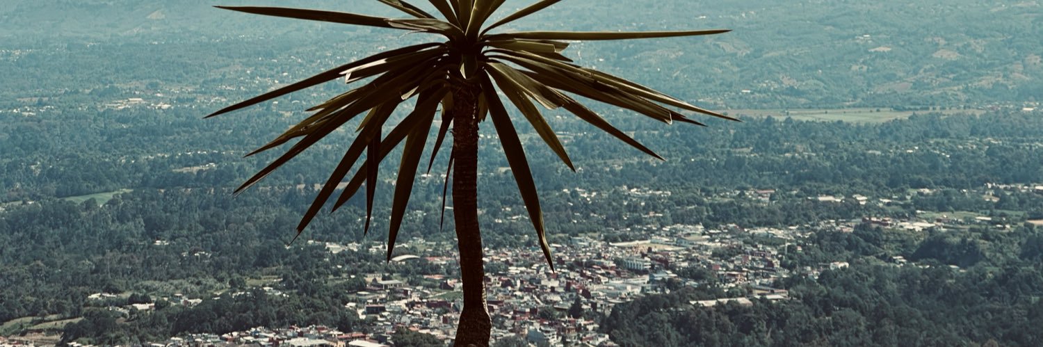 alexisponcee22's profile banner image