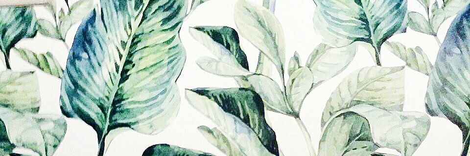 alyasiante's profile banner image