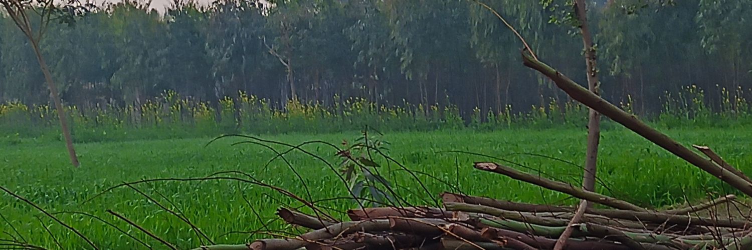 AL5980's profile banner image