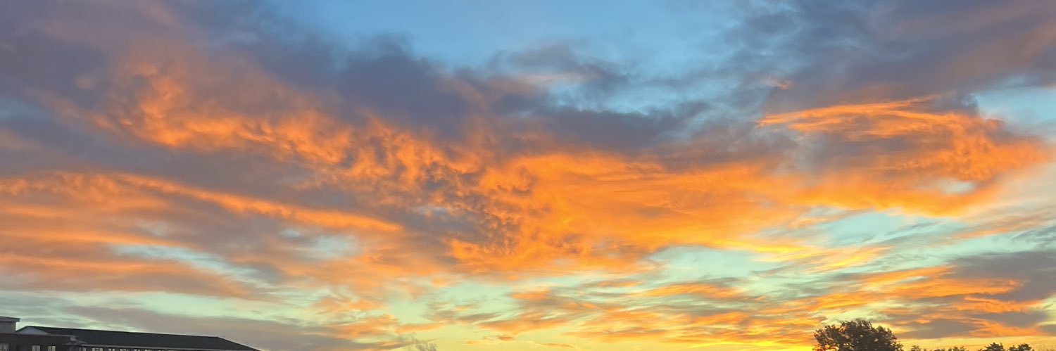 naomi_edb's profile banner image