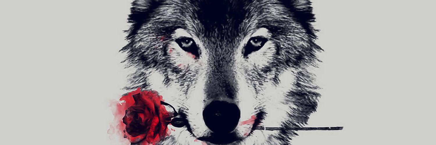 Tomtoal's profile banner image