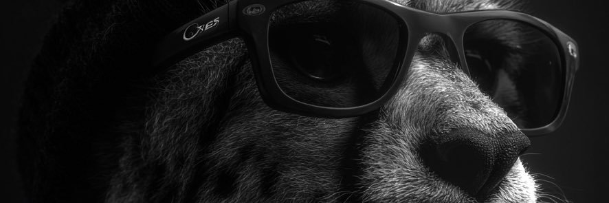 Keetacore's profile banner image