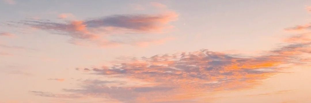 sully_sandy's profile banner image