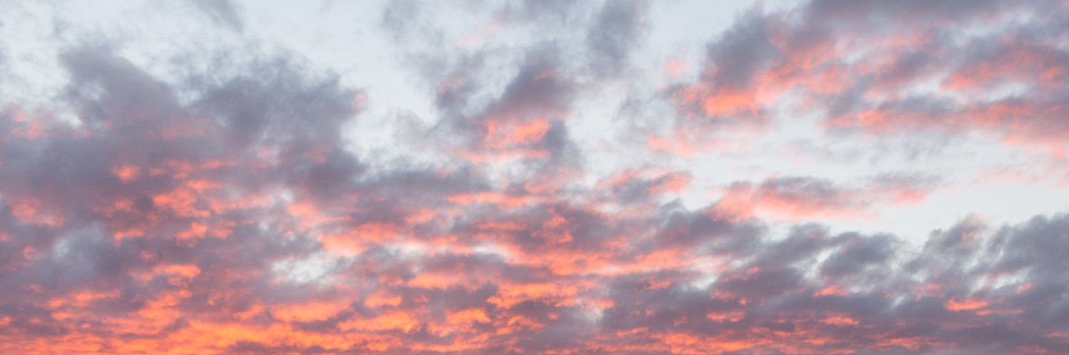 taylorlapinski's profile banner image