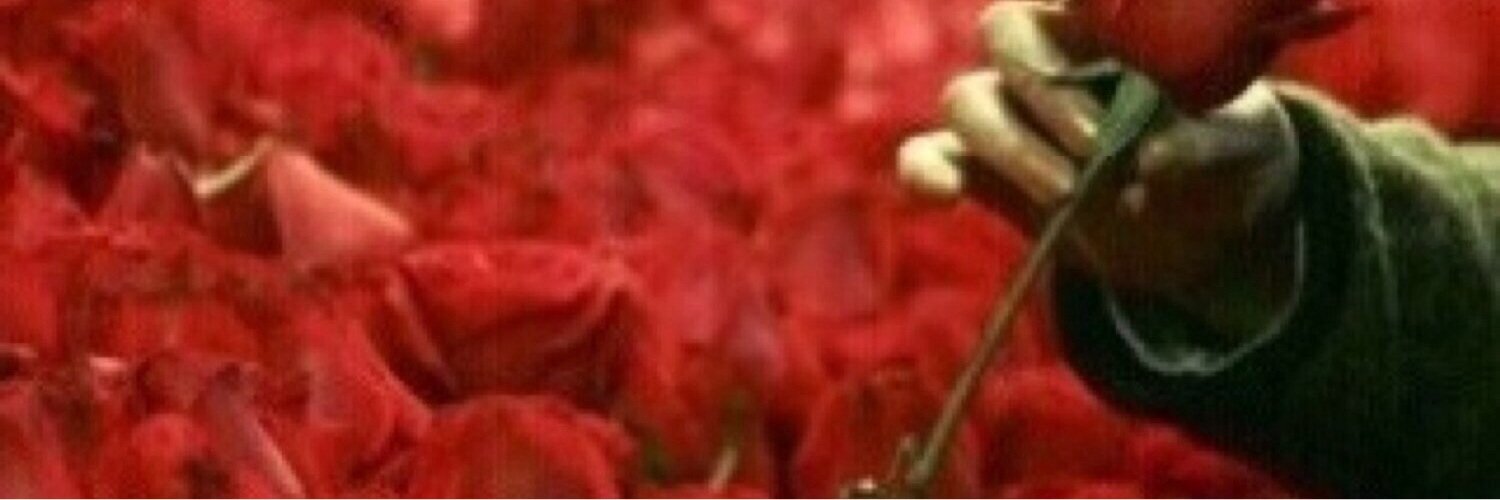 SULTANMV's profile banner image