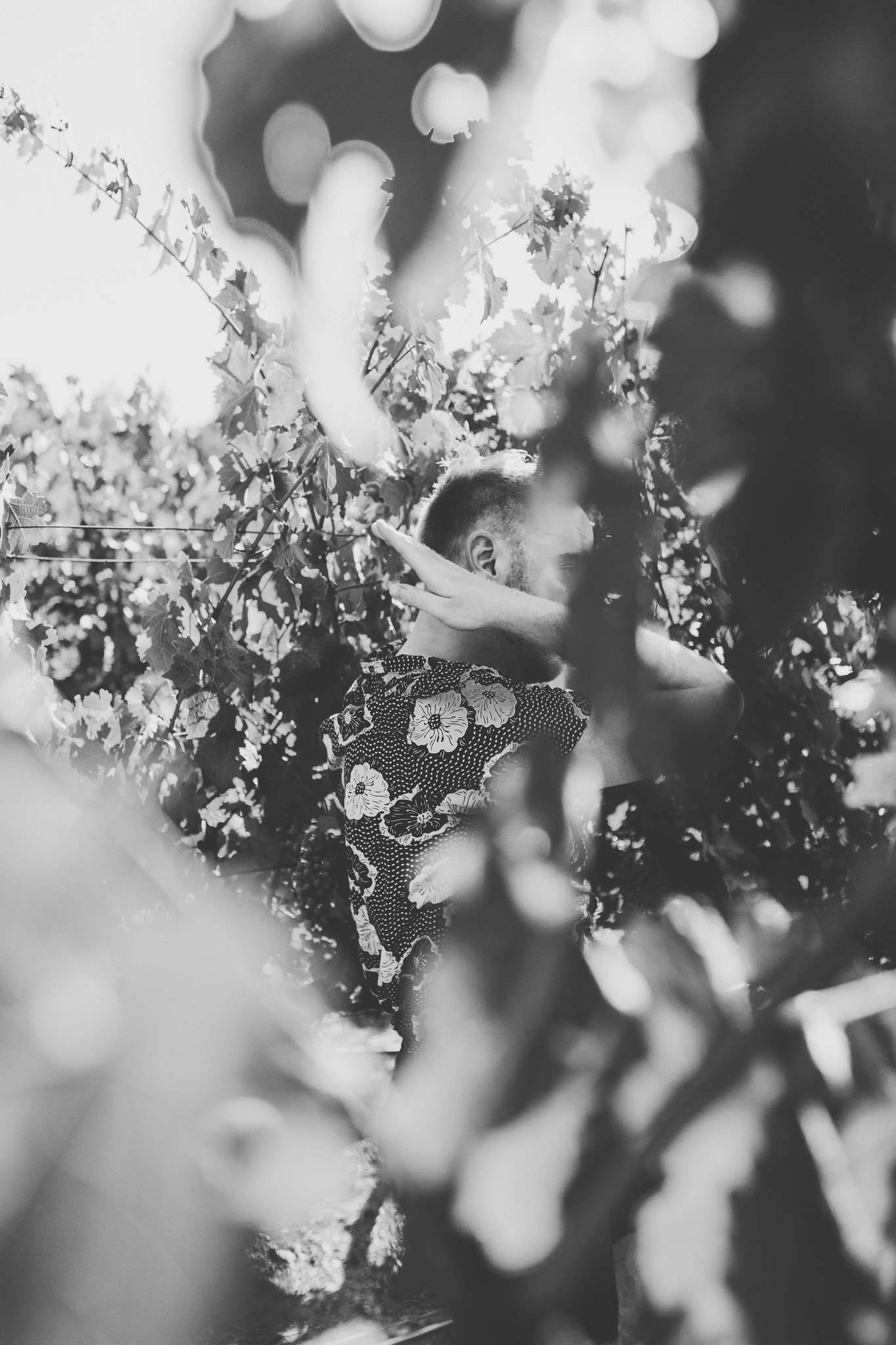 nicholaskep's profile banner image