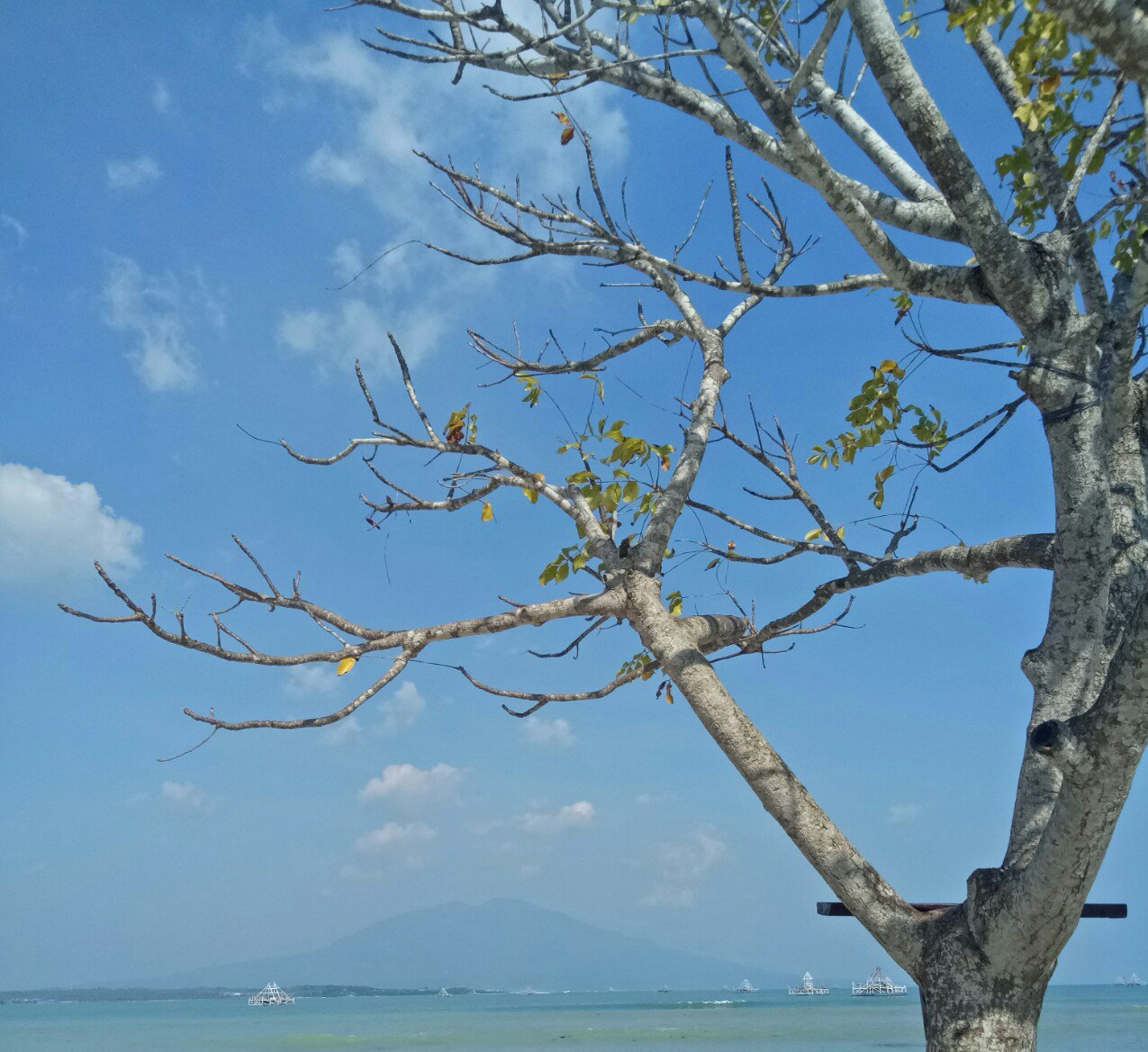 ikeMPratiwi's profile banner image