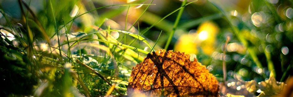 Kirankumar036's profile banner image