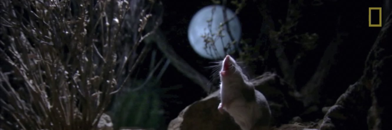 cameronfarris_'s profile banner image