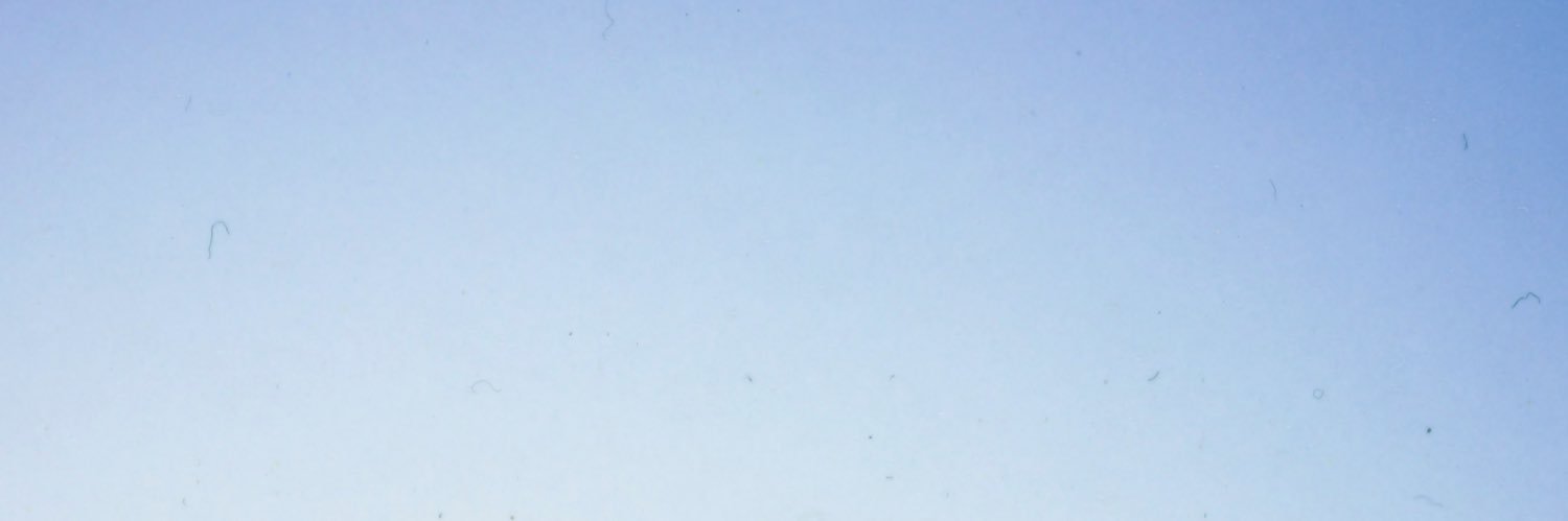 noahtalas's profile banner image