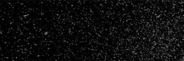 thomas ramdhan banner