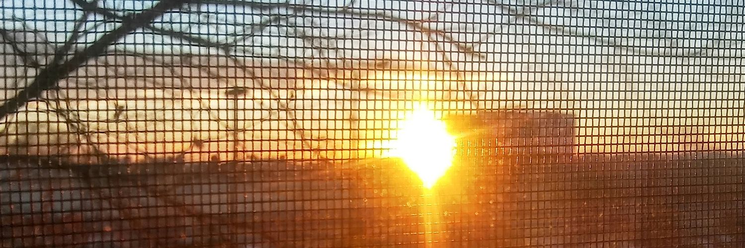 GTPF_GOD's profile banner image