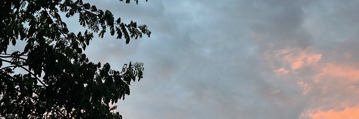 wit_mo's profile banner image