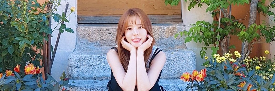 SunFlowerSunny5's profile banner image