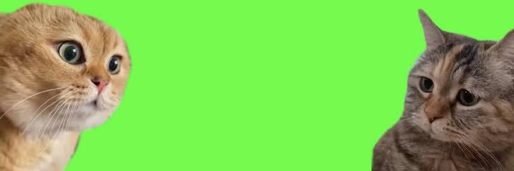snow70660853's profile banner image