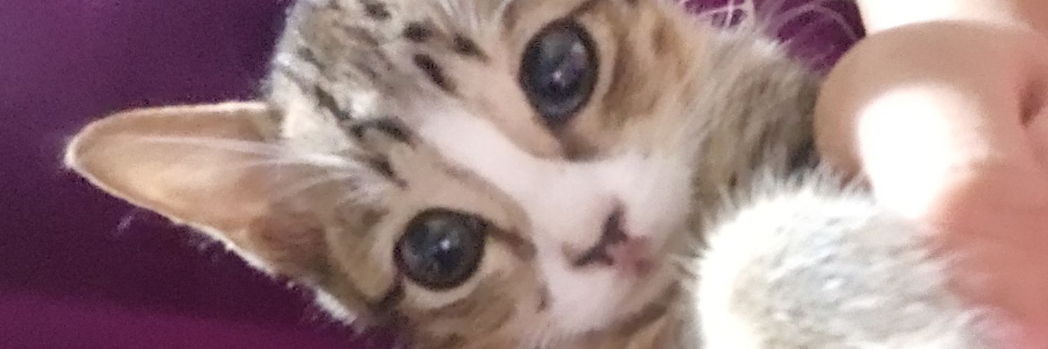 __ninsss's profile banner image