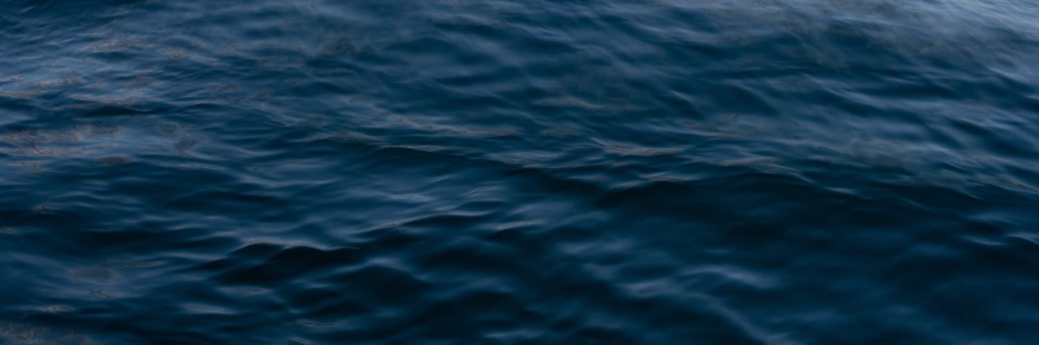 Daniel 🌊 banner