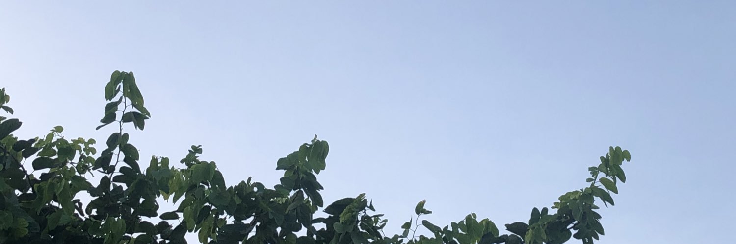 shainajaymie's profile banner image