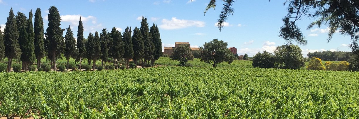 Albert Parés banner