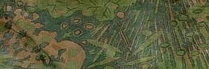 peacockwolfs's profile banner image