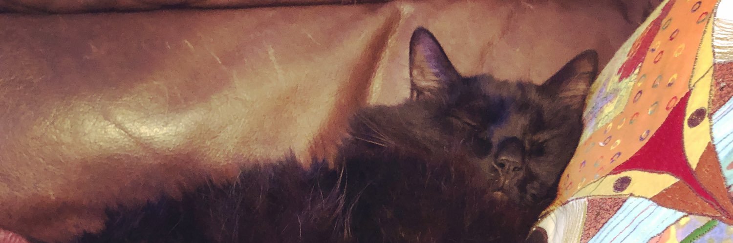 biggy_tiny's profile banner image