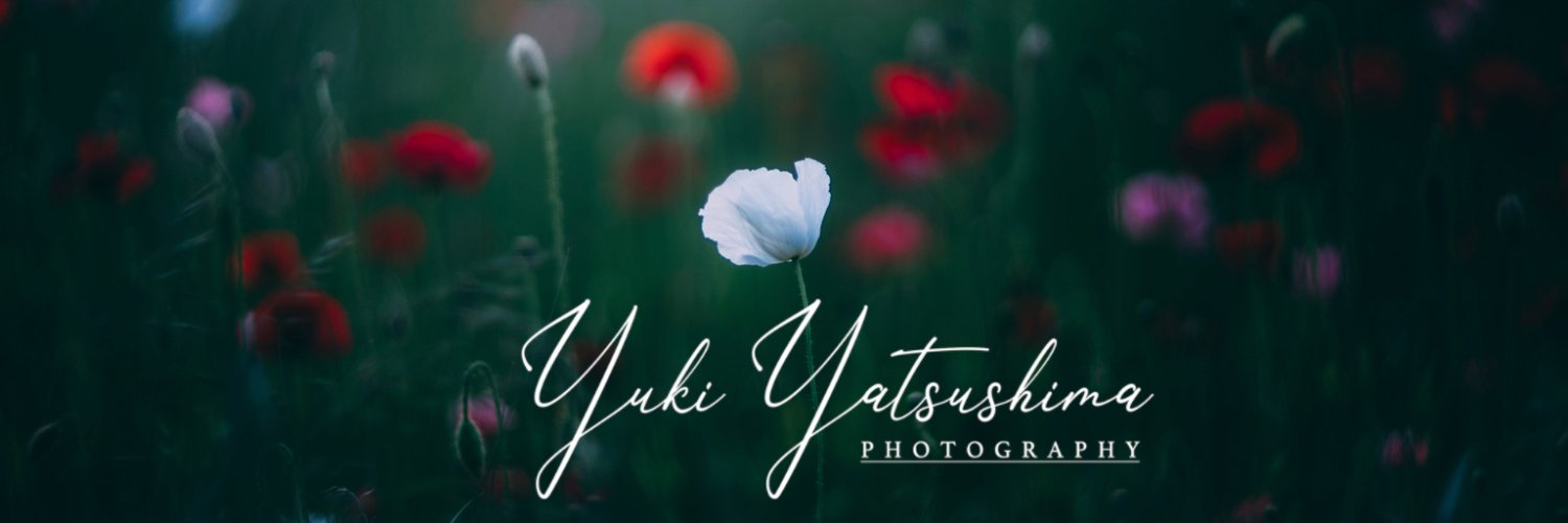 _Ya_Yu_Yo_'s profile banner image