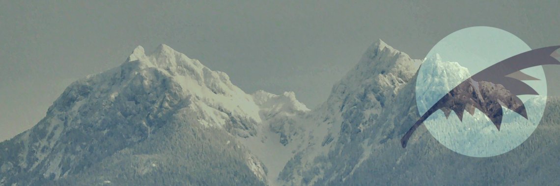 Shifty banner