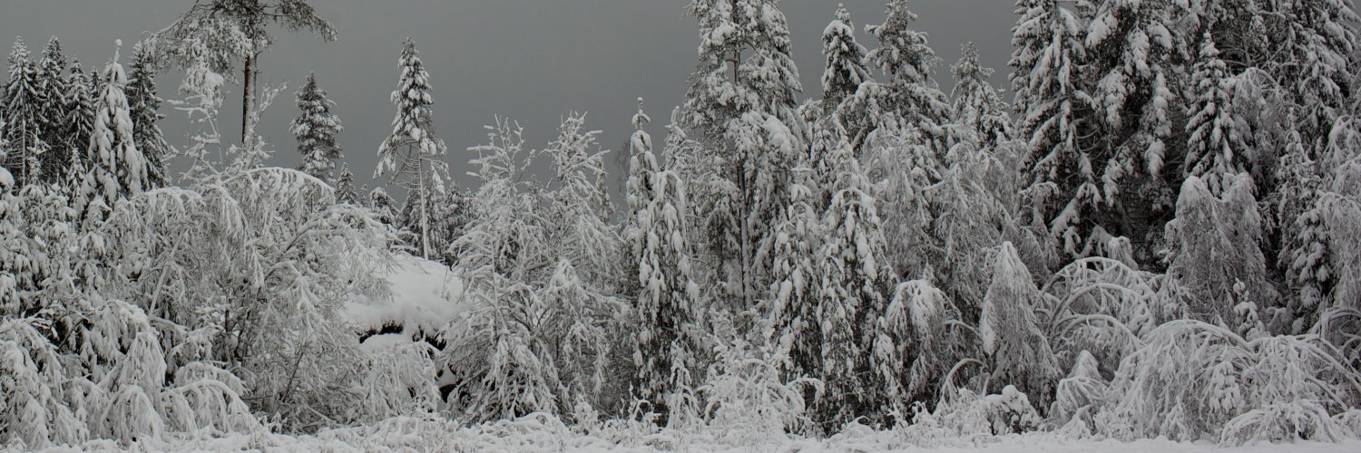 vuphanq's profile banner image
