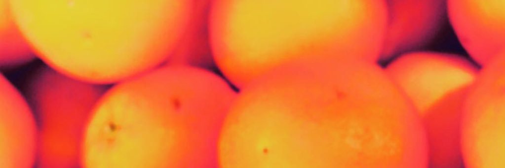 saperna's profile banner image