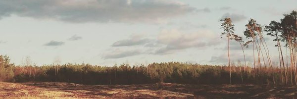 mczepkiewicz Profile Banner