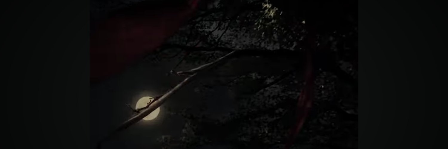 ppitttaaaa's profile banner image