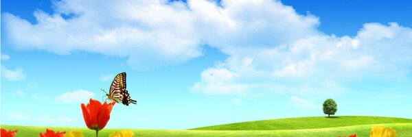 bubble3303 Profile Banner