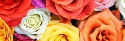 PuteriFam49's profile banner image