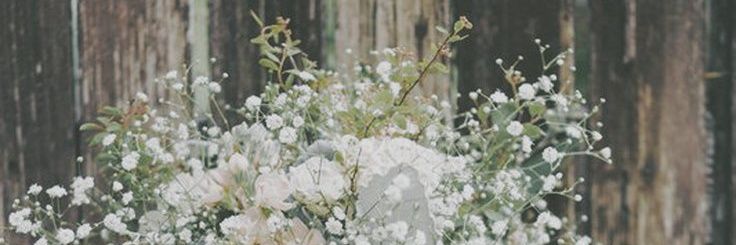 abityabagus1's profile banner image
