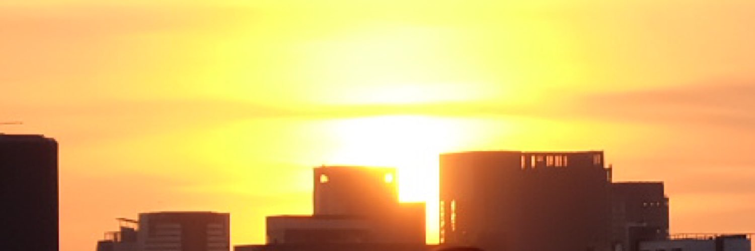 prachlee's profile banner image