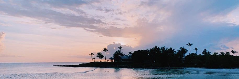 AlliFrederking's profile banner image