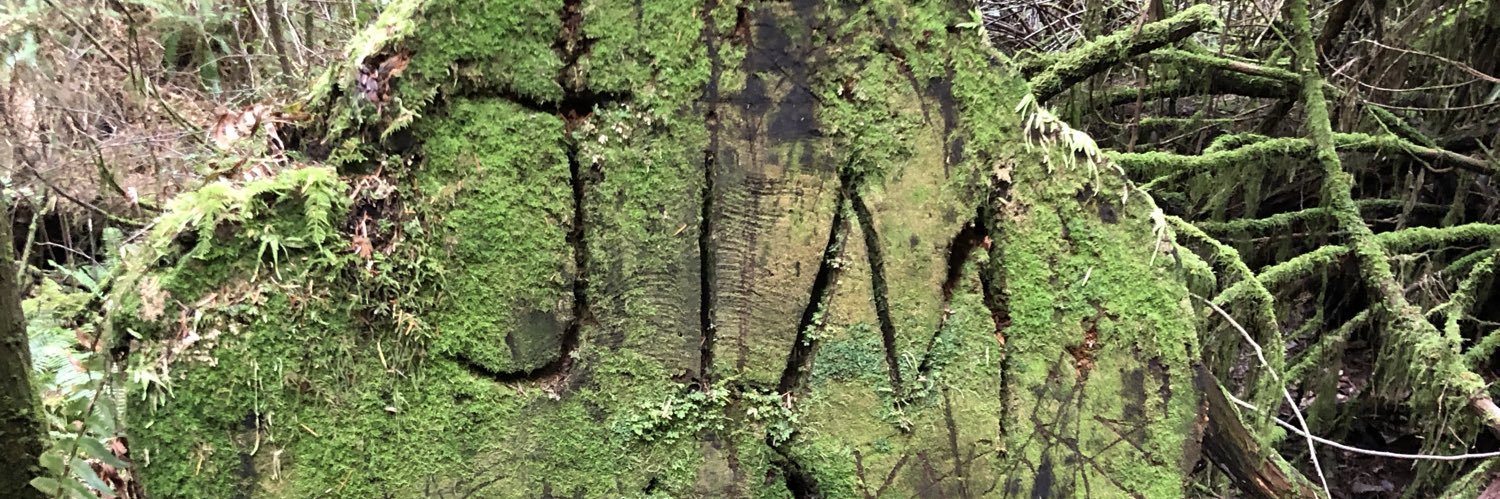 Srandyhill's profile banner image