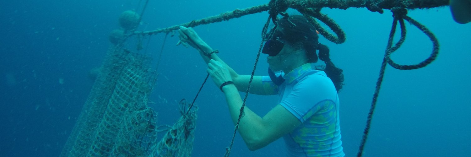 Robin Donovan banner