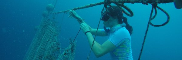 RobinKD Profile Banner