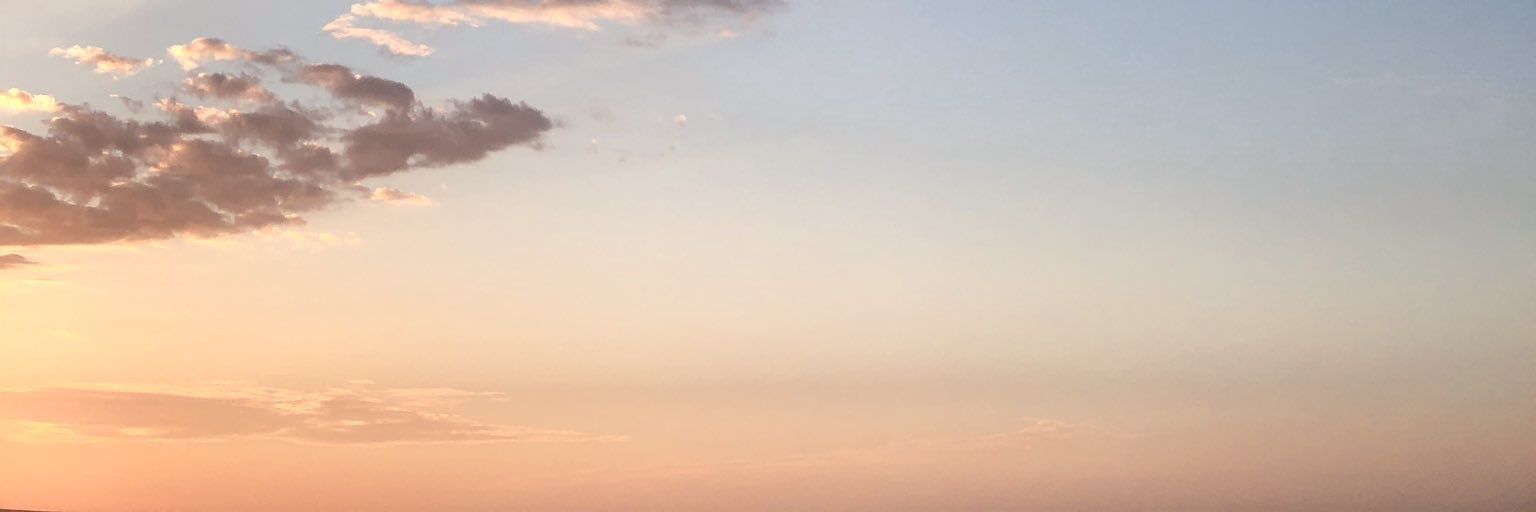 viaaaviani's profile banner image
