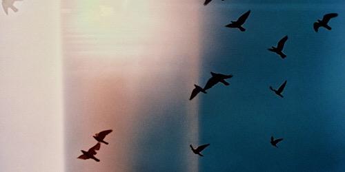 smas996's profile banner image